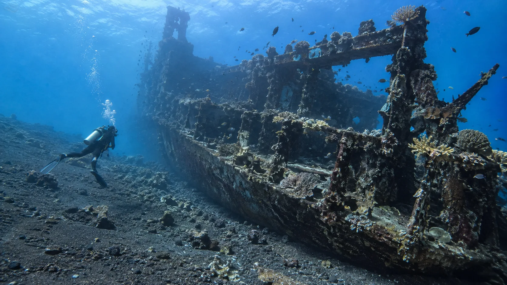 Scuba diver exploring the coral-covered USAT Liberty wreck at Tulamben.