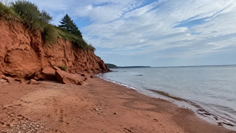 Red sandstone cliff borders a quiet beach with scattered fallen rocks.