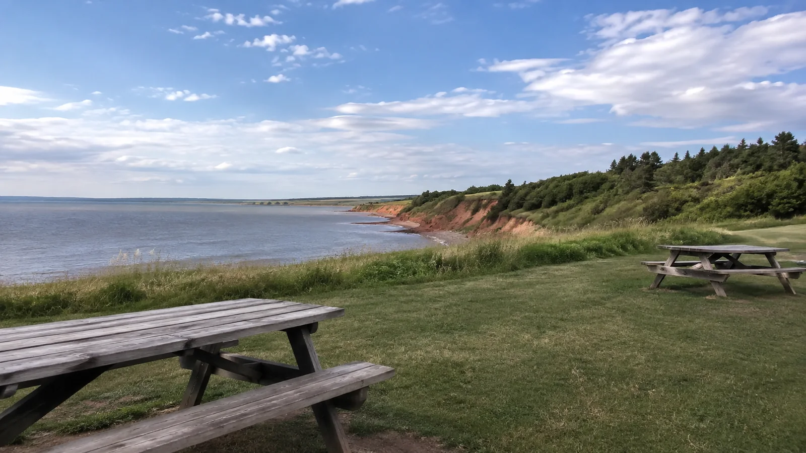 Picnic tables on a grassy bluff overlooking a red cliff shoreline.