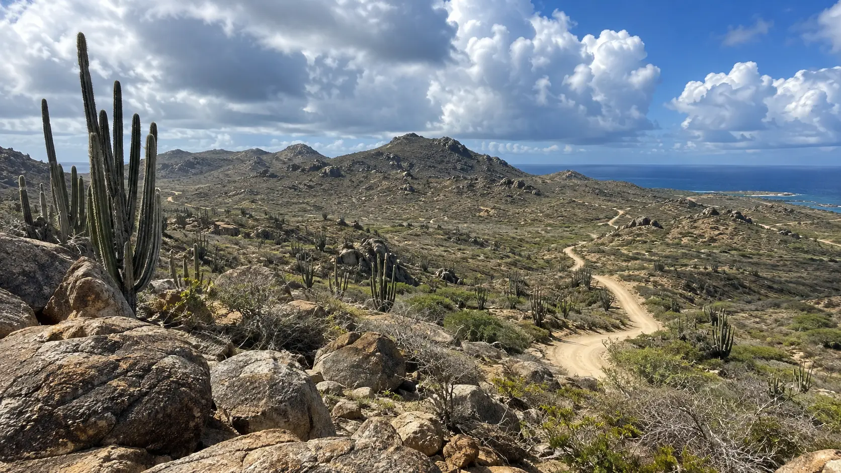 Cacti, rugged hills, and a winding dirt road in Arikok National Park.
