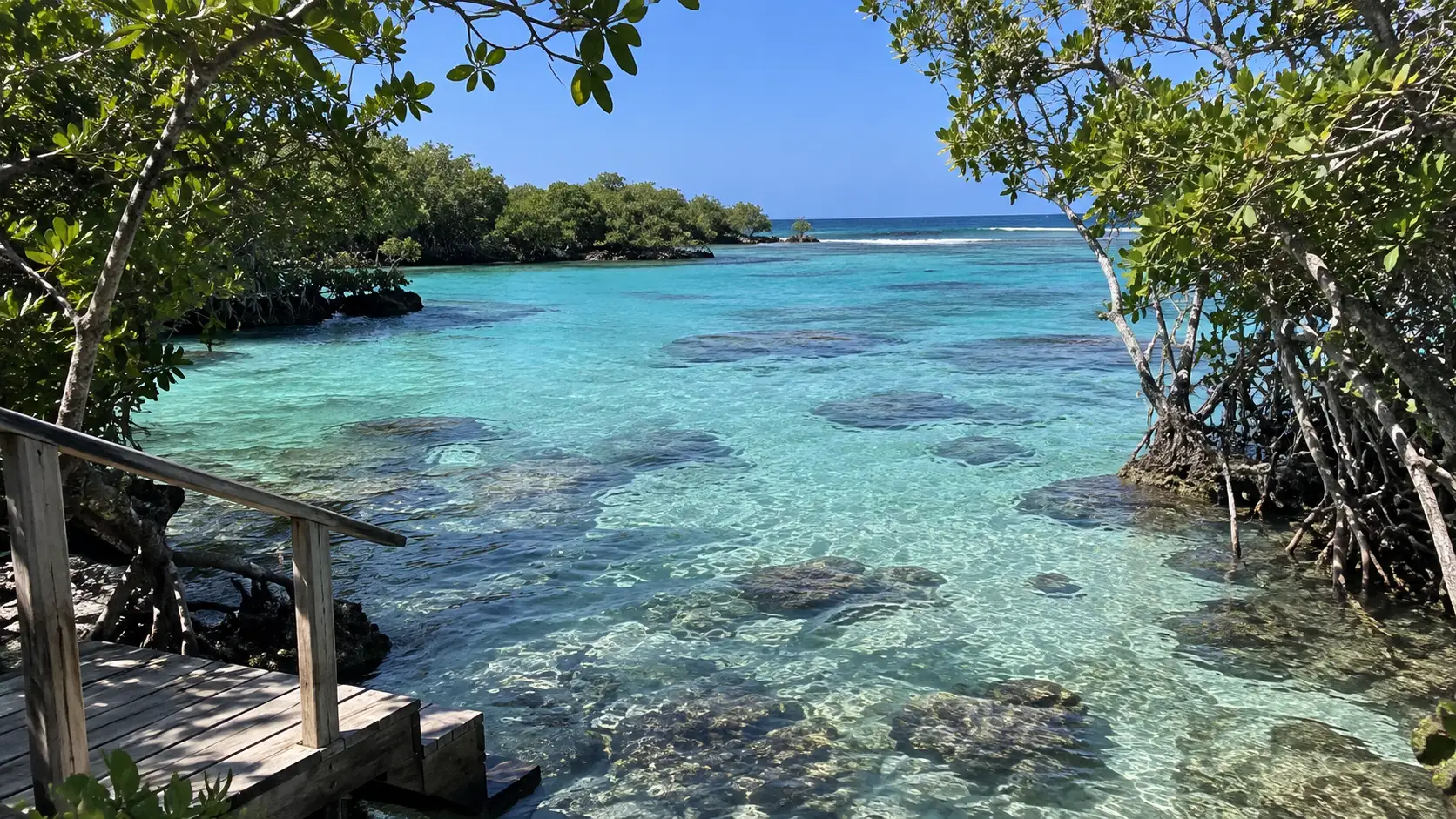 Mangroves framing the clear reef-speckled water at Mangel Halto.