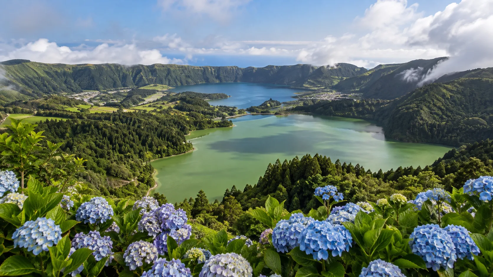 The blue and green crater lakes of Sete Cidades framed by hydrangeas in the Azores.