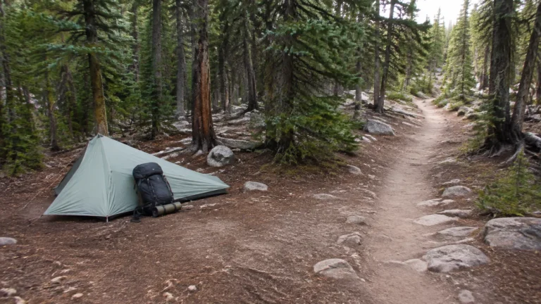 Small backpacking tent beside a rocky trail in dense evergreen forest.