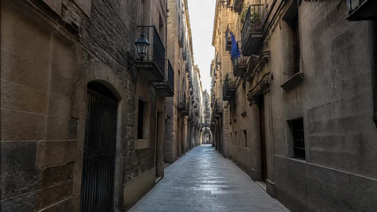 Narrow stone-paved alley between tall old buildings.