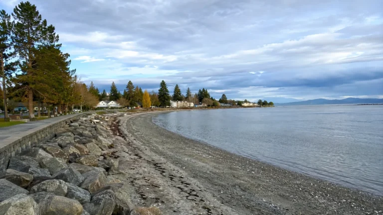 Pebbly shoreline and waterfront path curve beside calm water and trees.