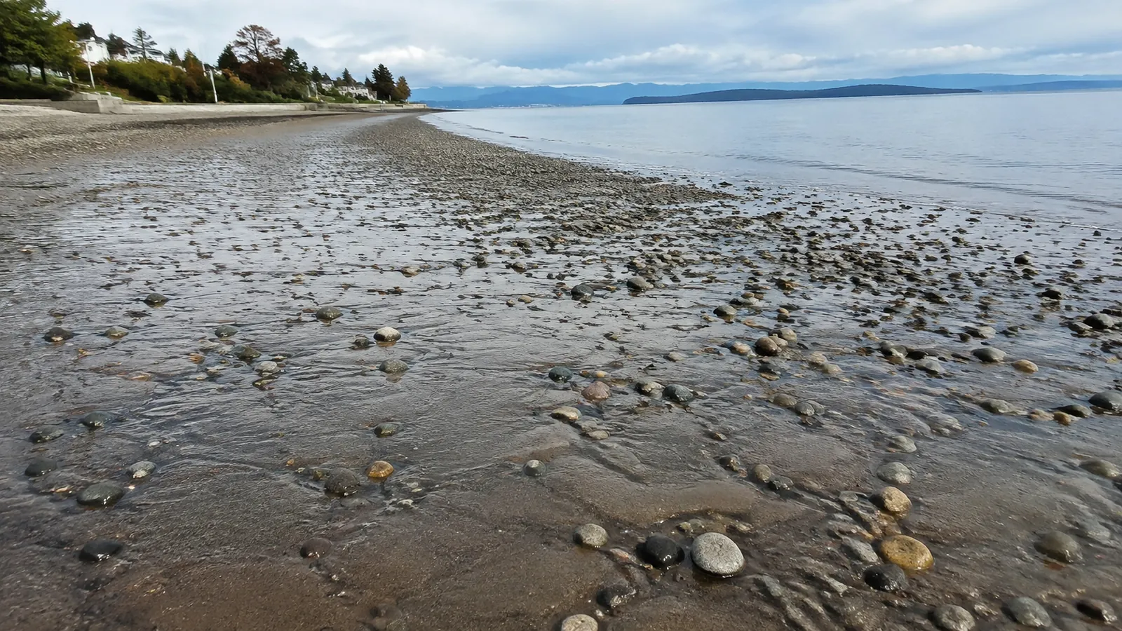 Pebbles scattered across a broad tidal flat beside calm water.