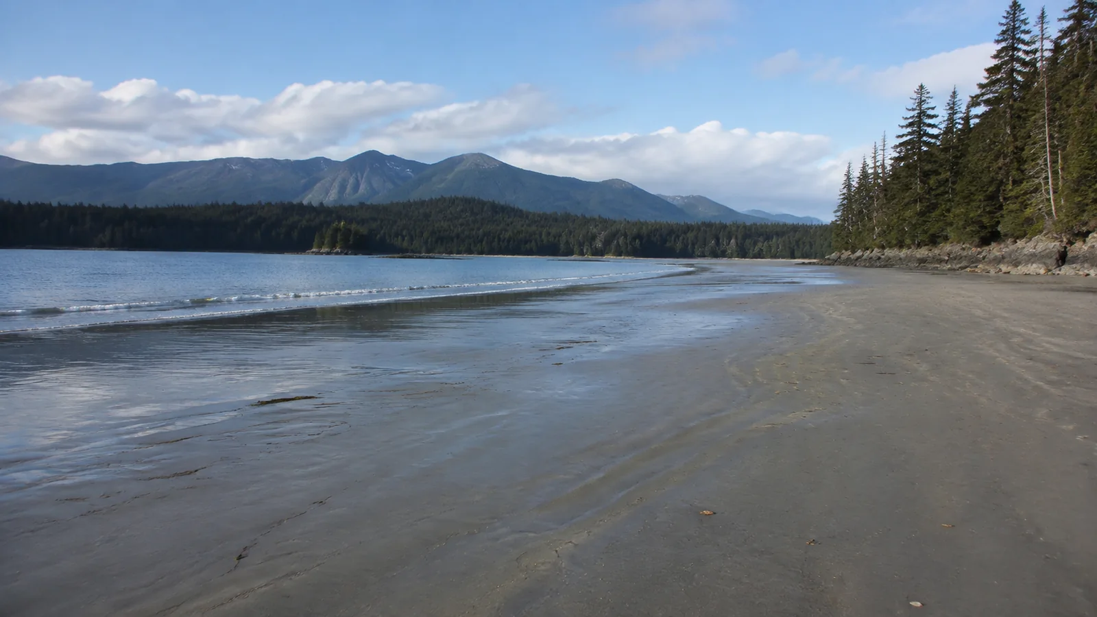 Sandy beach faces forested mountains across a sheltered bay.