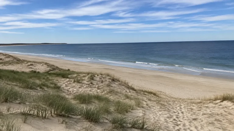 Long sandy beach bordered by low dunes and calm blue water.