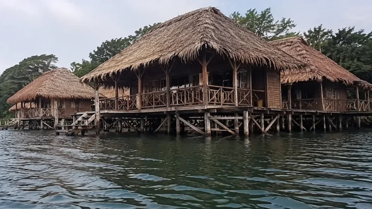 Rustic thatched bungalows on stilts at the edge of a tropical forest.