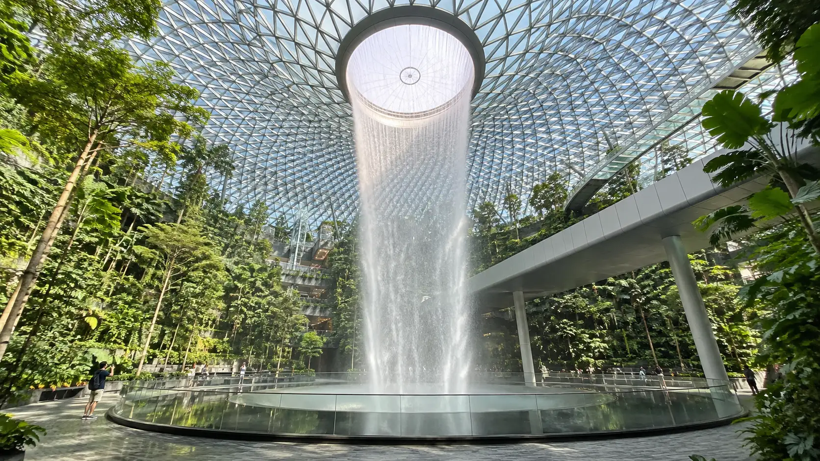 Indoor waterfall and tropical greenery at Jewel Changi Airport in Singapore