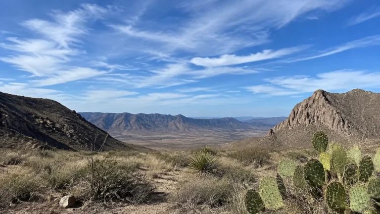 Cactus-covered desert landscape framed by rugged mountains beneath a bright blue sky.