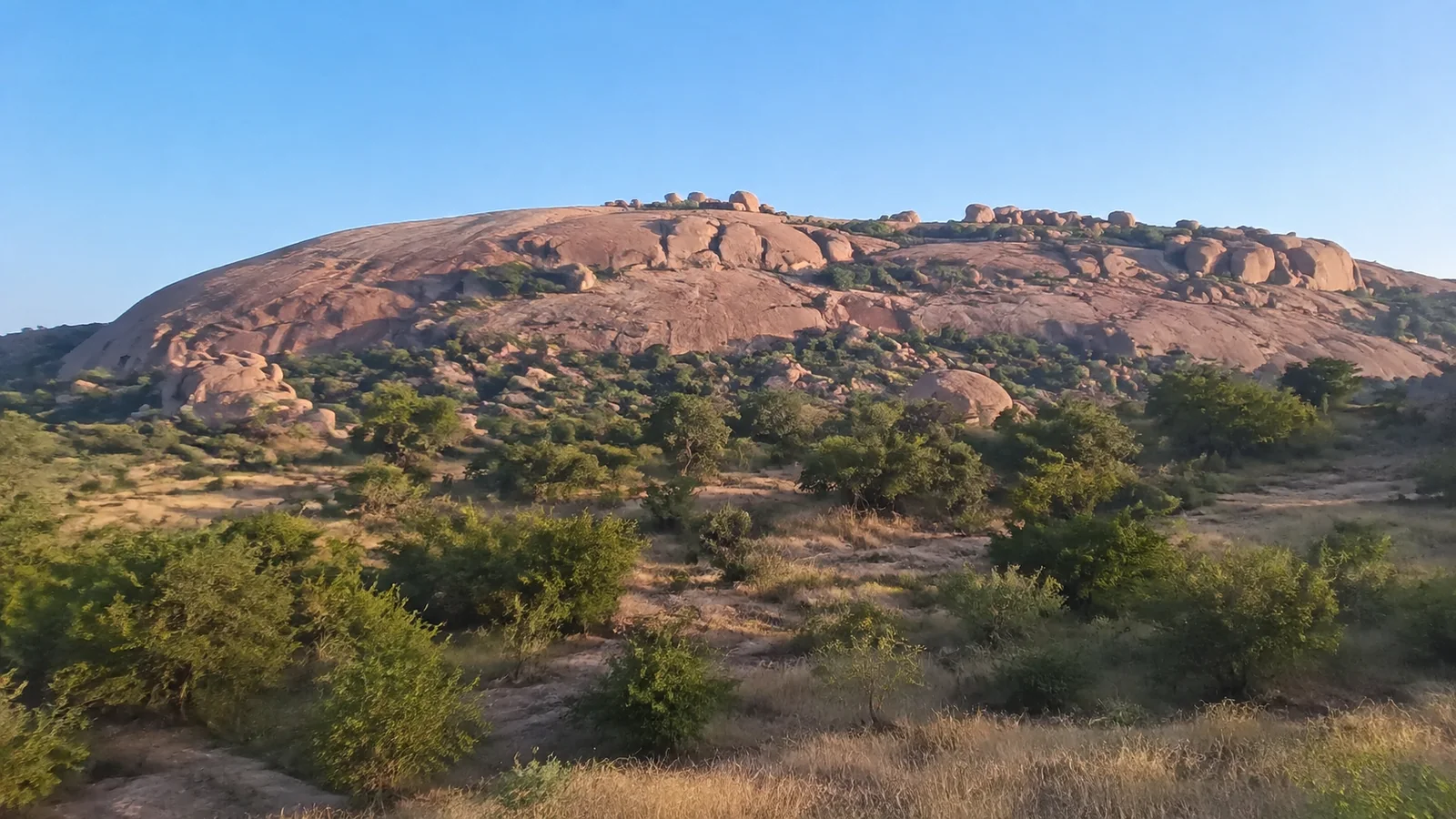 Broad reddish granite dome rising above scattered shrubs and trees.