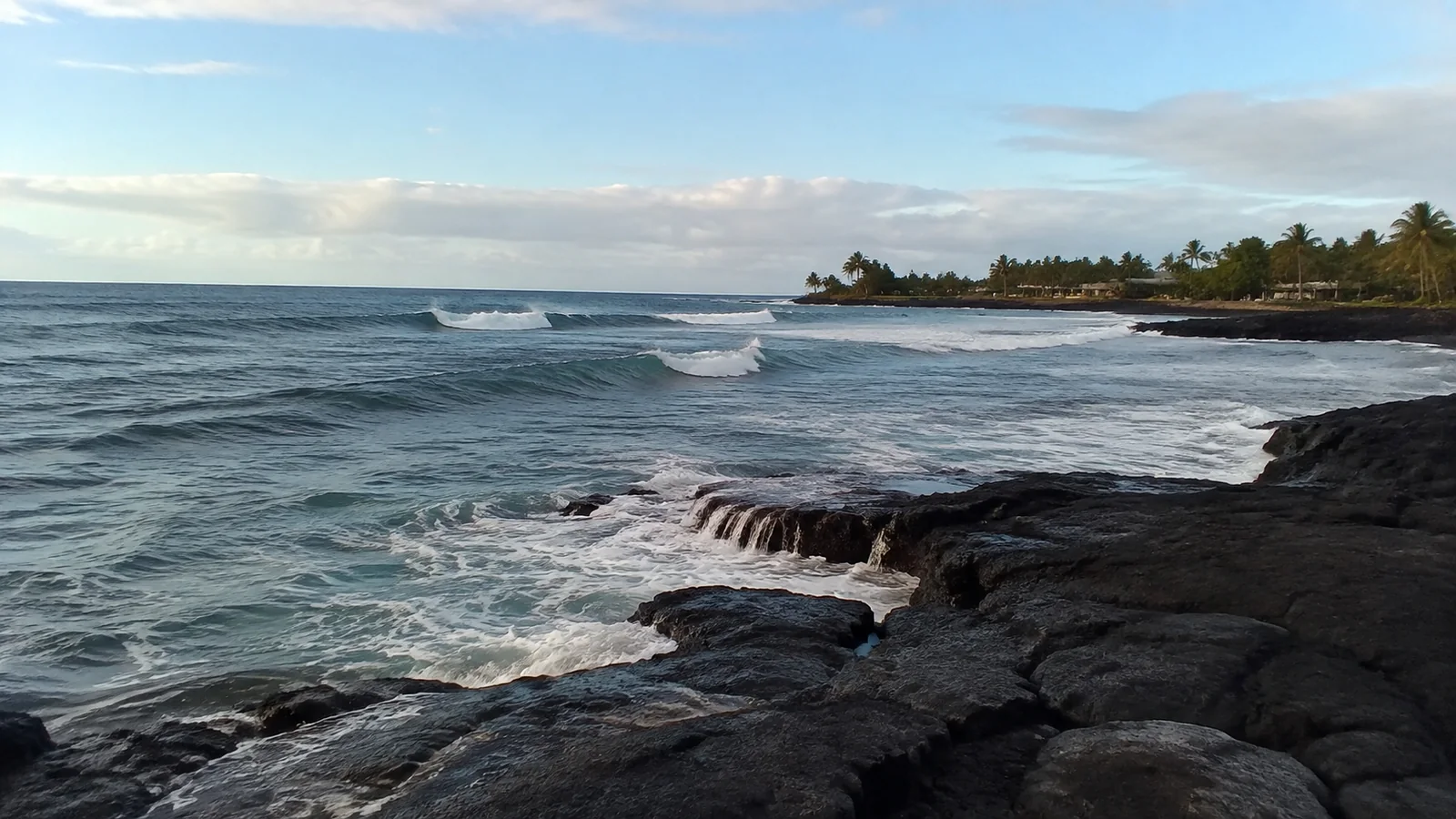 Waves roll toward a dark rocky coast lined with palm trees.