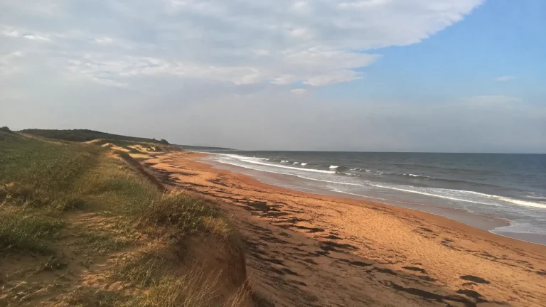 Long sandy beach bordered by grassy dunes and gentle surf.