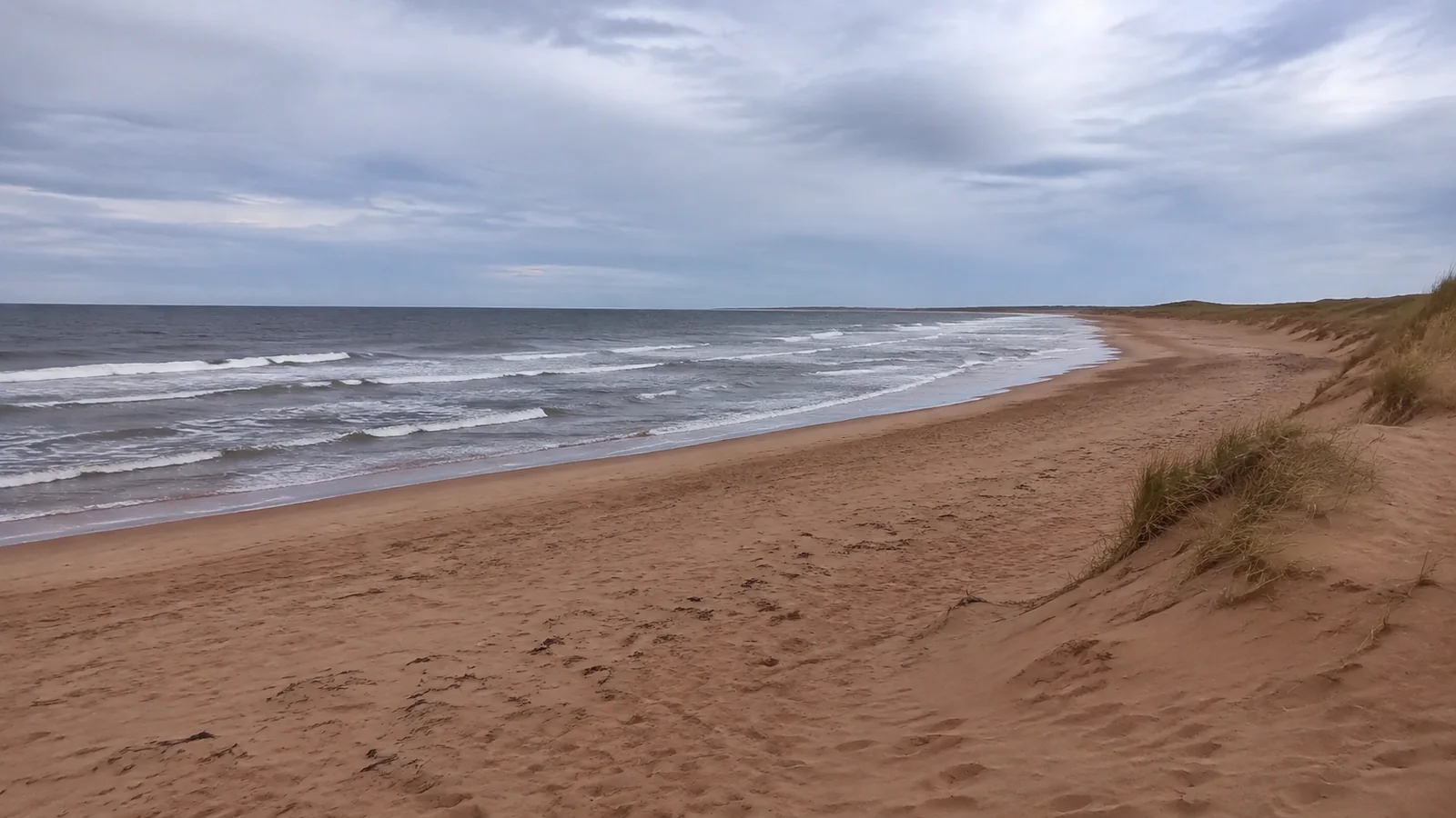 Waves roll onto a broad curving beach below low dunes.