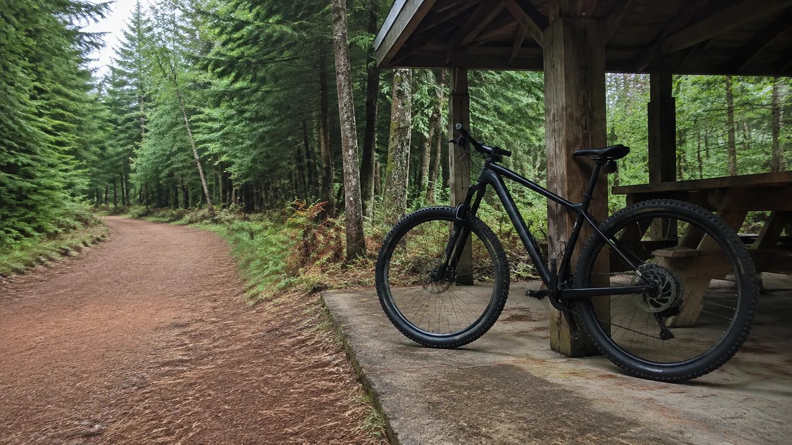 Mountain bike leaning beside a shelter on a wide forest trail.