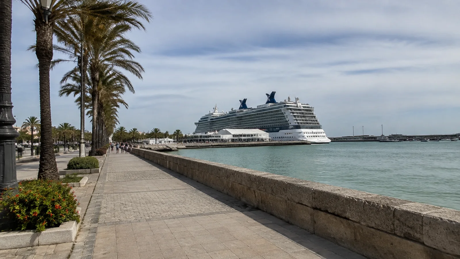 Palm-lined waterfront promenade with a cruise ship docked nearby