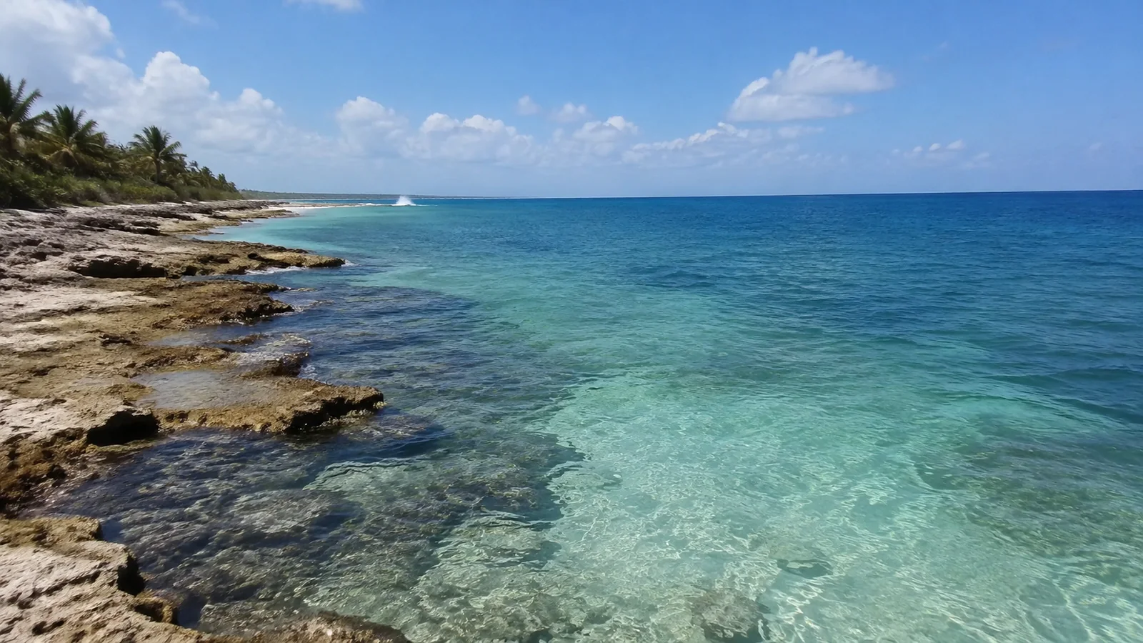 Clear turquoise water along a low rocky Caribbean shoreline
