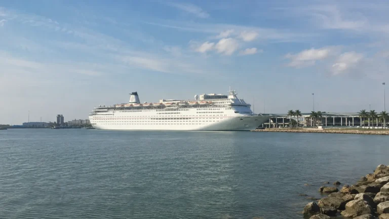 Large white cruise ship docked beside a low coastal shoreline