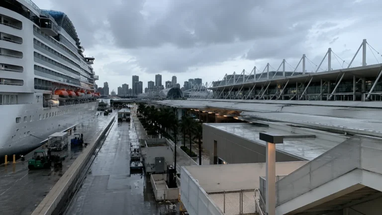 Cruise ship docked beside a terminal with a city skyline in the distance
