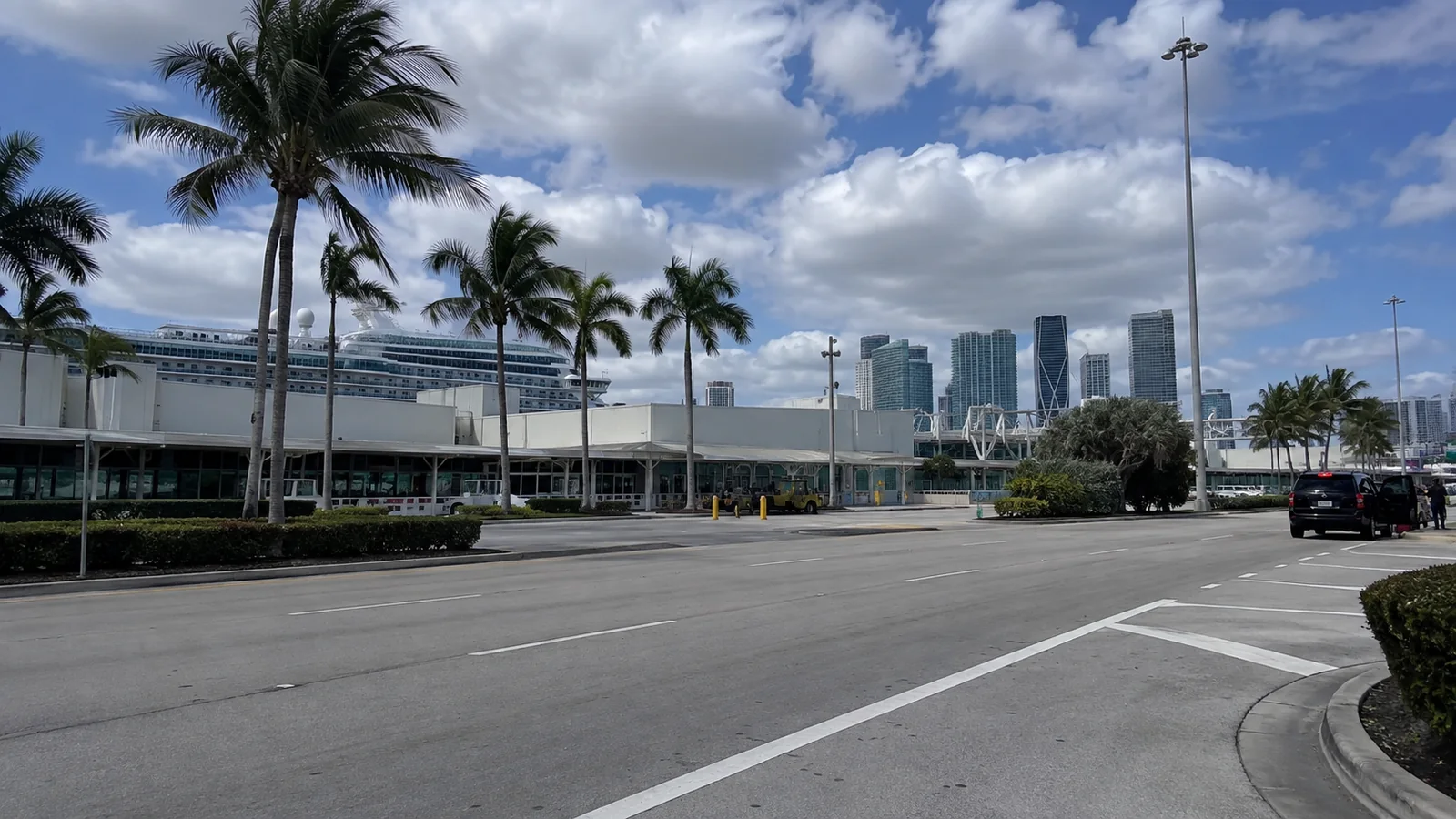 Palm-lined road beside a cruise terminal with a city skyline beyond