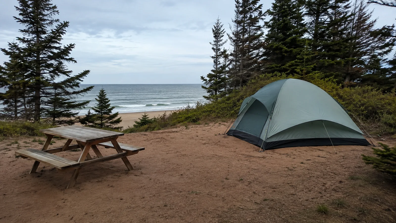 Tent and picnic table among evergreens overlooking the sea.