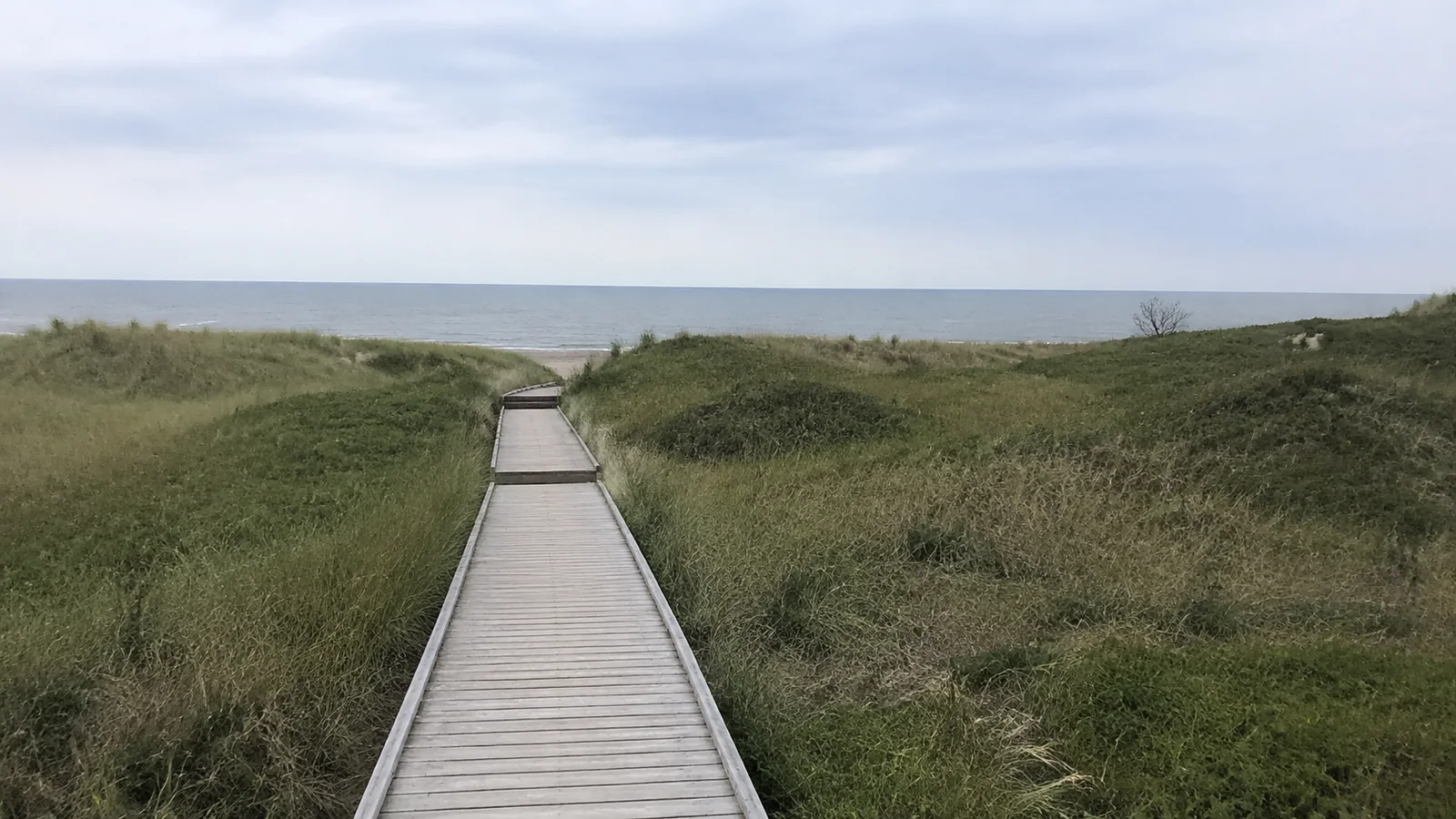 Straight wooden boardwalk crosses grassy dunes toward the ocean.