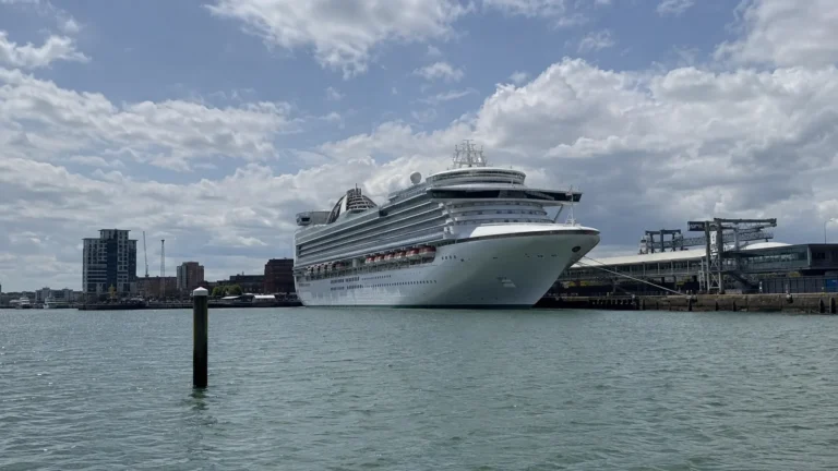 Cruise ship docked at a waterfront terminal across the harbor.