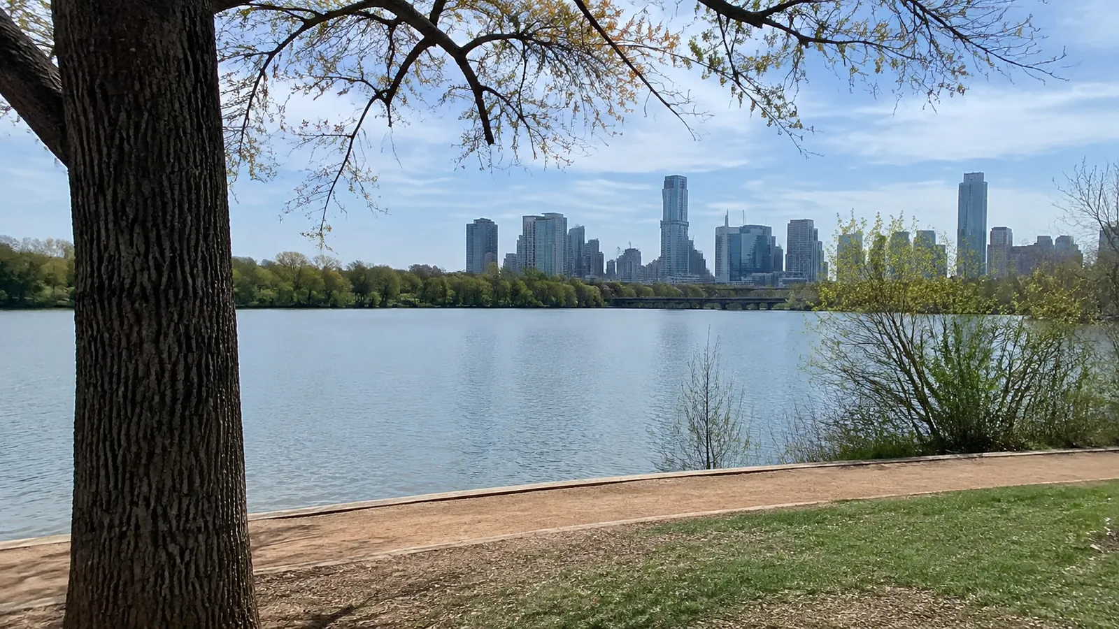 City skyline across a lake framed by trees and grassy shoreline.