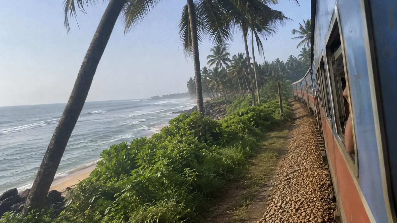 View from a train traveling beside a palm-lined coastline.