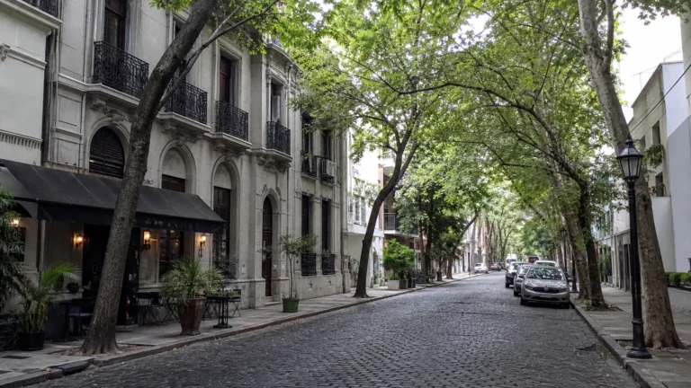 Tree-lined cobblestone street bordered by ornate historic buildings and parked cars.