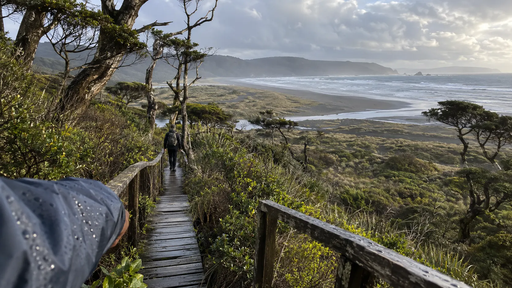 Forest boardwalk opening toward Pacific dunes in Chiloé National Park