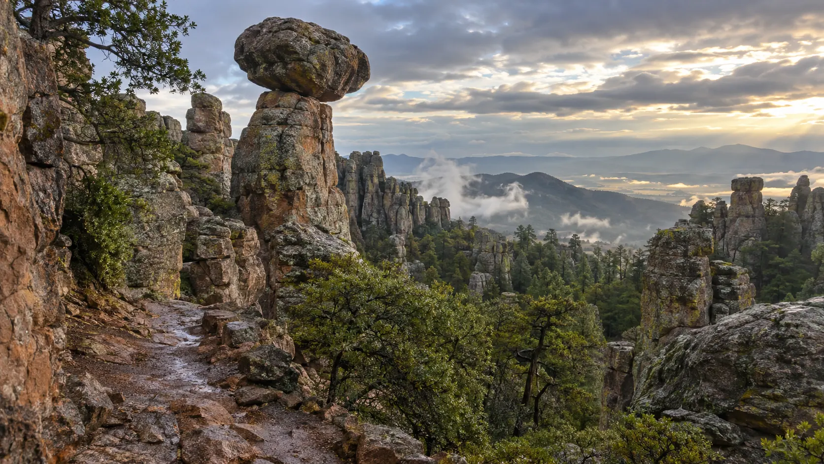 Rhyolite hoodoos and balanced rocks along a morning trail in Chiricahua National Monument, Arizona
