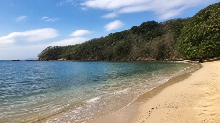 Quiet sandy cove bordered by forested headlands.