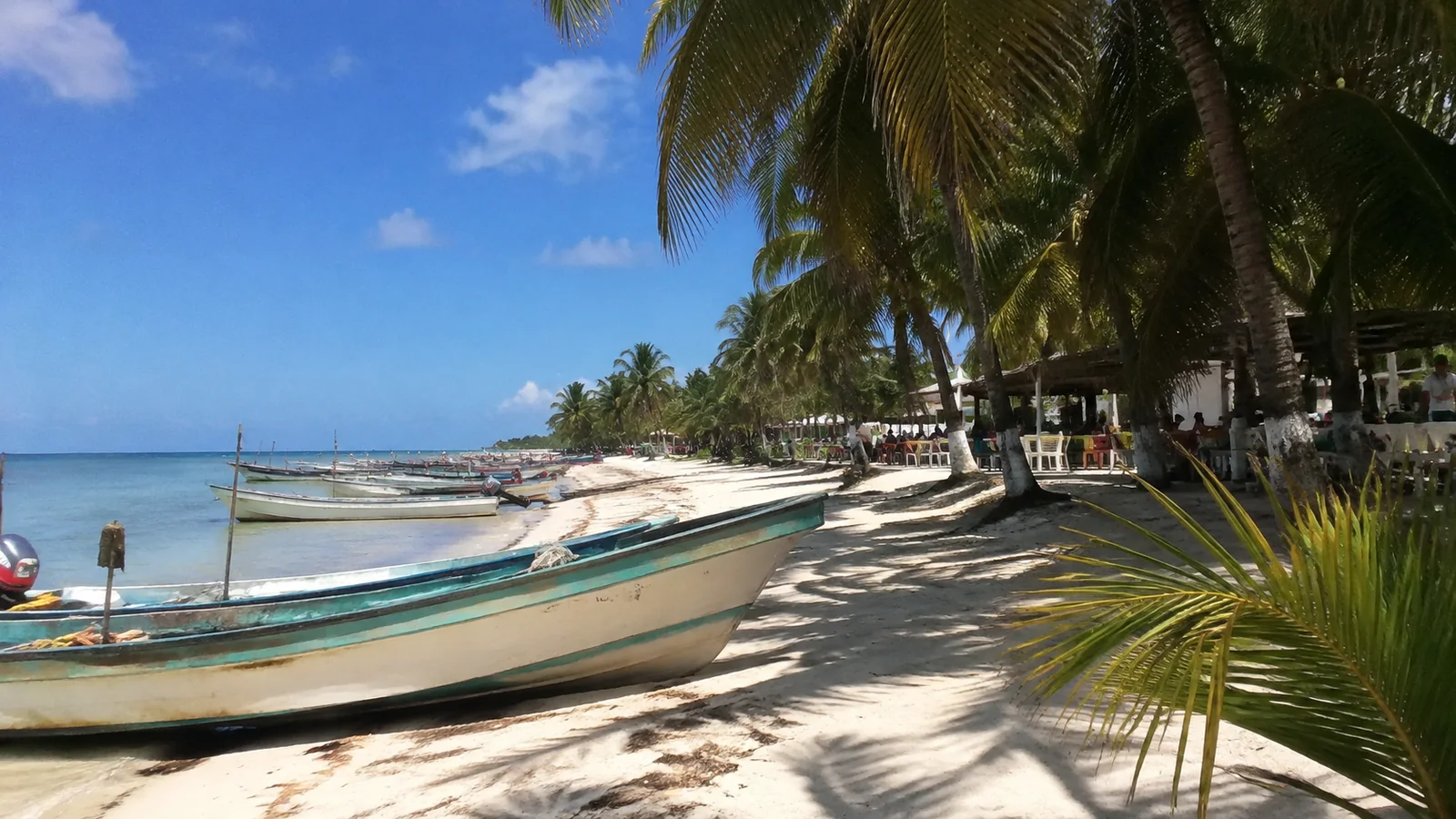 Small boats pulled onto a palm-lined sandy beach