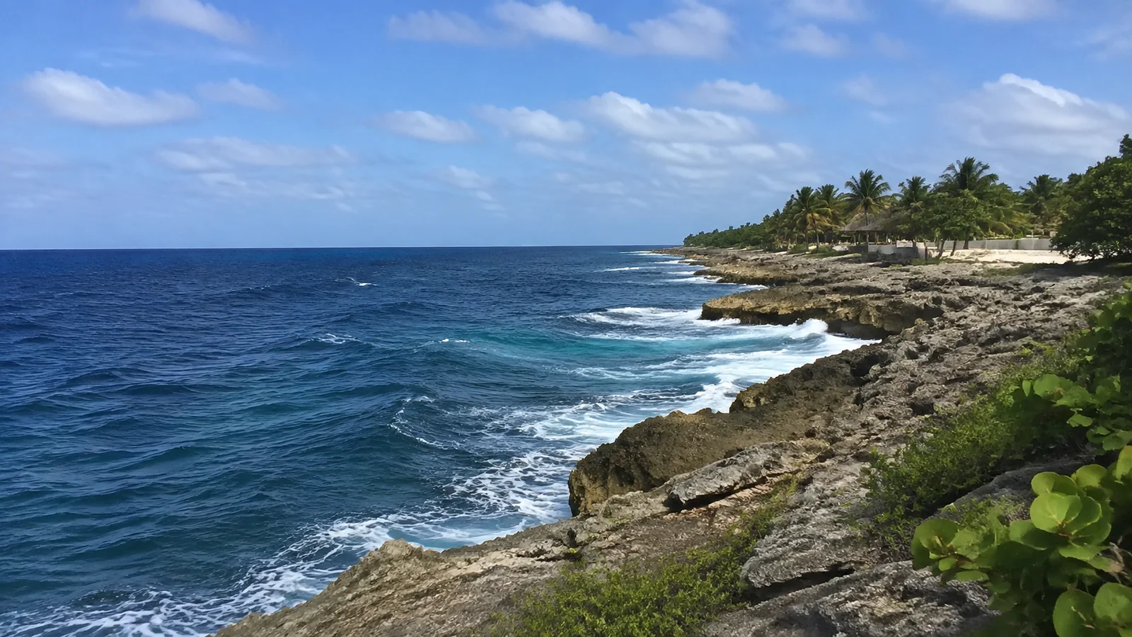 Waves breaking against a rocky coast backed by palm trees.