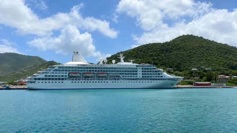 White cruise ship anchored near a lush green island.