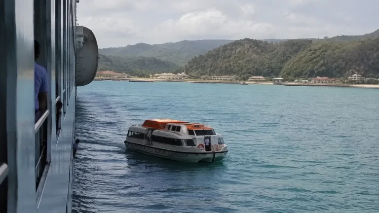 Tender boat approaching a cruise ship near a wooded coastline.