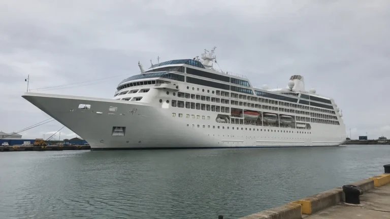 Large white cruise ship docked beside a harbor quay.