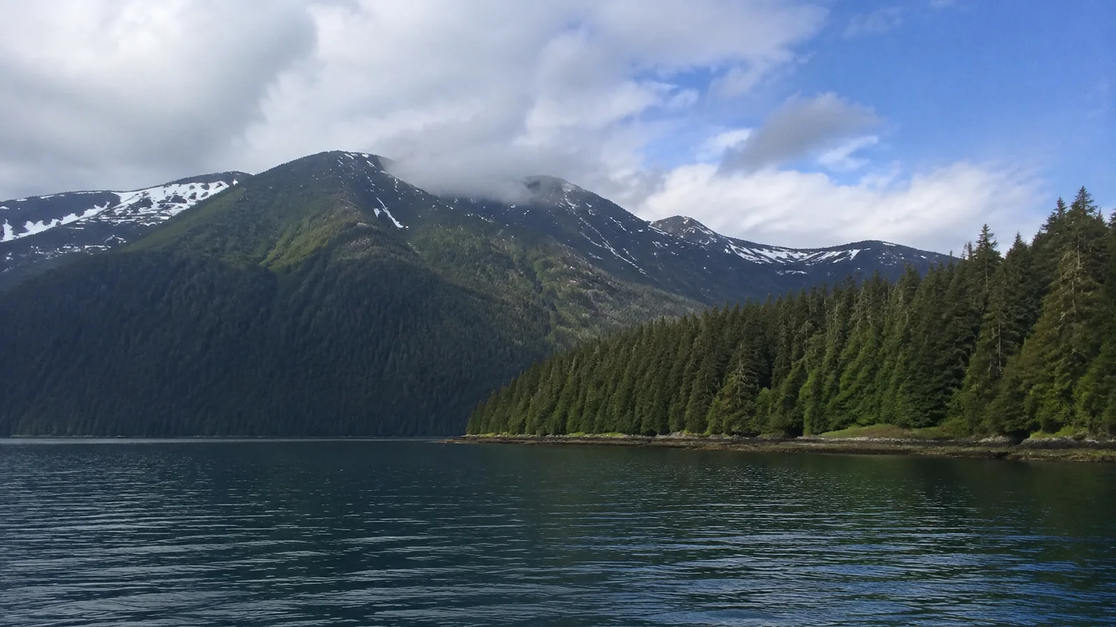 Forested coastline and snow-streaked mountains beside calm water.