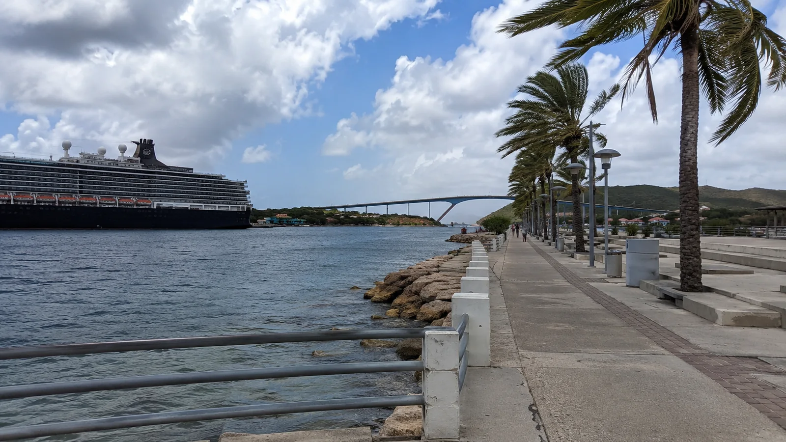 Palm-lined promenade beside a harbor with a cruise ship