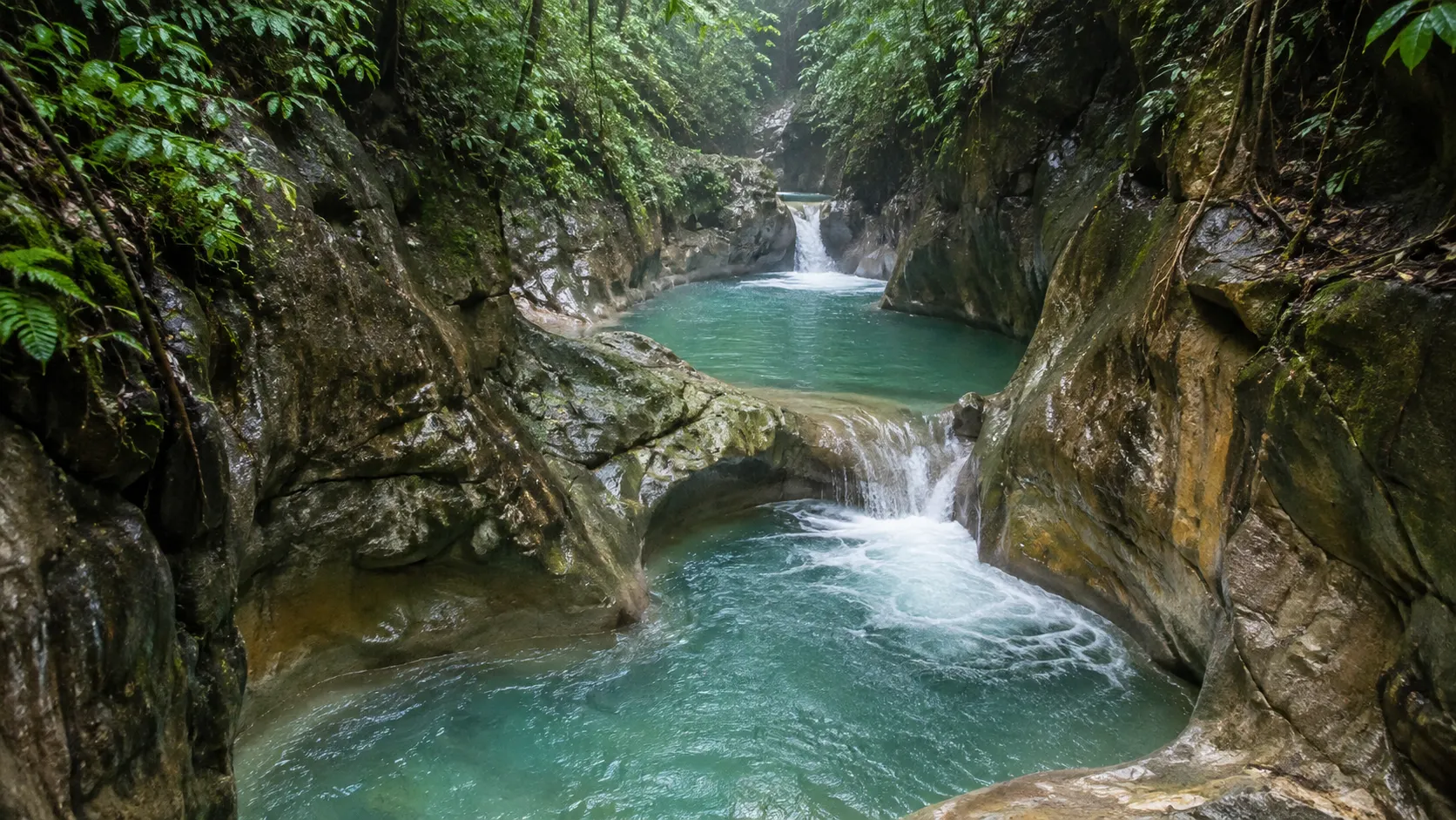 Connected jade pools and small cascades winding through the limestone canyon at Damajagua.
