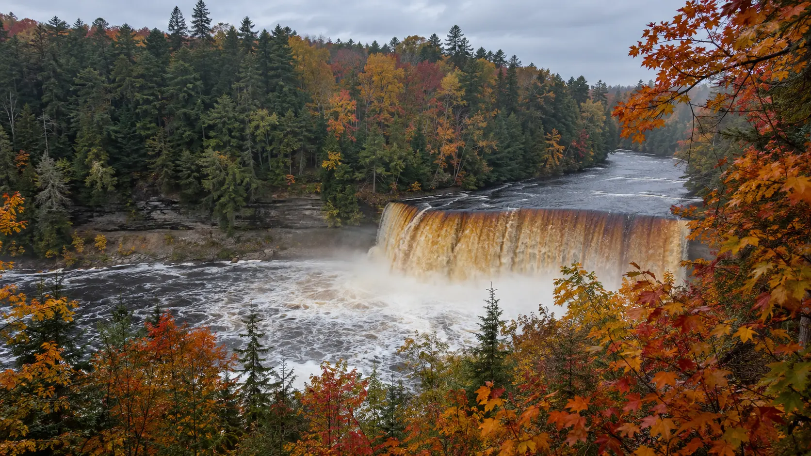 Amber Upper Tahquamenon Falls surrounded by peak autumn forest