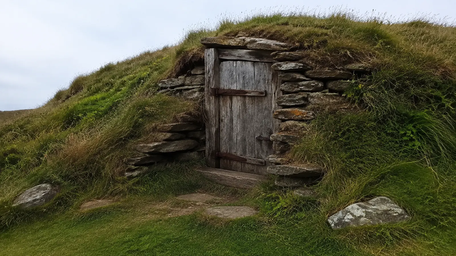 Weathered wooden door set into a grass-covered stone cellar.