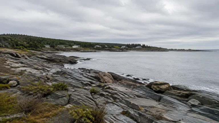 Low rocky coastline beside a quiet bay beneath an overcast sky.