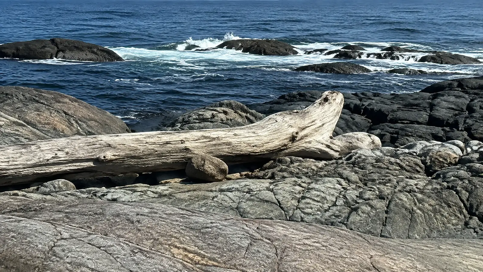 Weathered driftwood rests on coastal rocks beside breaking waves.