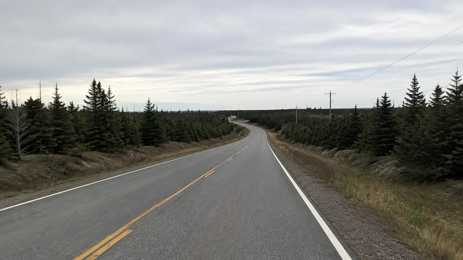 Empty two-lane road stretches through low evergreen woodland.