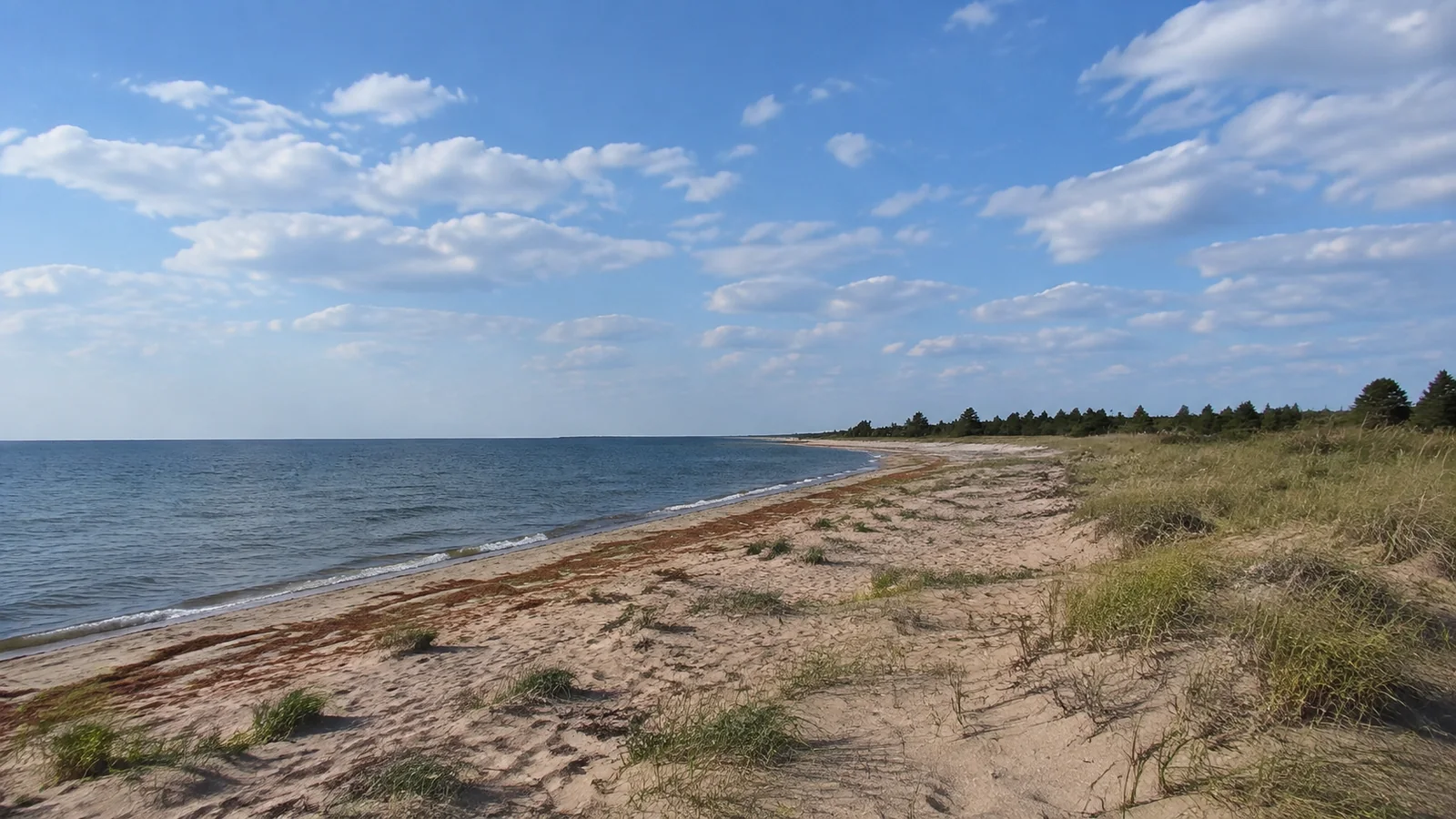Long sandy beach bordered by grassy dunes under scattered clouds.