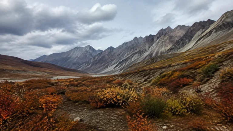 Jagged mountain ridge above a valley of orange autumn tundra.