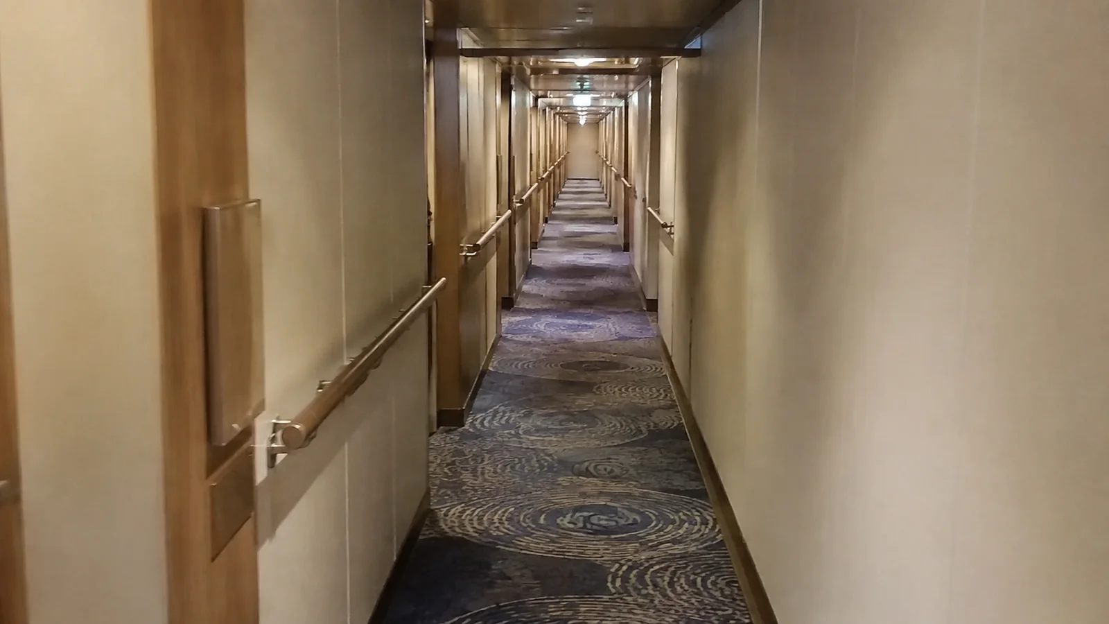 Empty narrow corridor has handrails and patterned blue carpet.